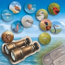 Thunderworks Games - Cape May | Seaside Resort City Building Board Game | Strategy Resource Management and Set Collection | Ages 14+ | Family Game for