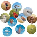 Thunderworks Games - Cape May | Seaside Resort City Building Board Game | Strategy Resource Management and Set Collection | Ages 14+ | Family Game for