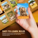 Ecosystem: Savanna Board Game