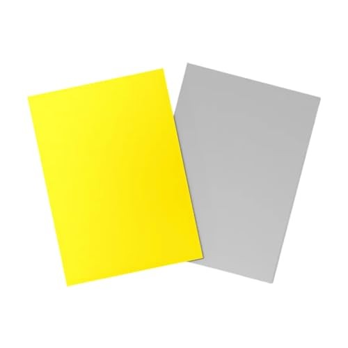 Dragon Shield: Matte - Dual Yellow & Silver (100)