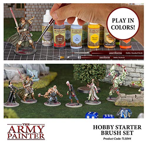 Hobby Starter Brush  Set