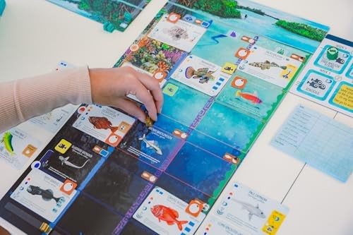 Finspan - a Wingspan Game by David Gordon & Michael O’Connell - Strategy Board Game from Stonemaier