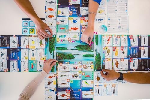 Finspan - a Wingspan Game by David Gordon & Michael O’Connell - Strategy Board Game from Stonemaier
