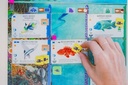 Finspan - a Wingspan Game by David Gordon & Michael O’Connell - Strategy Board Game from Stonemaier