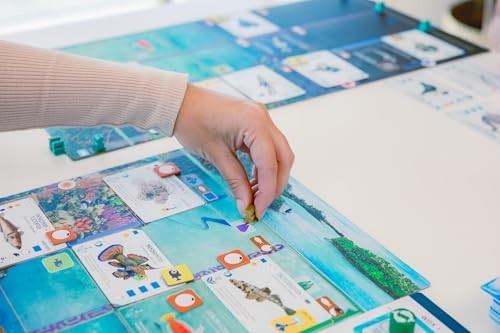Finspan - a Wingspan Game by David Gordon & Michael O’Connell - Strategy Board Game from Stonemaier