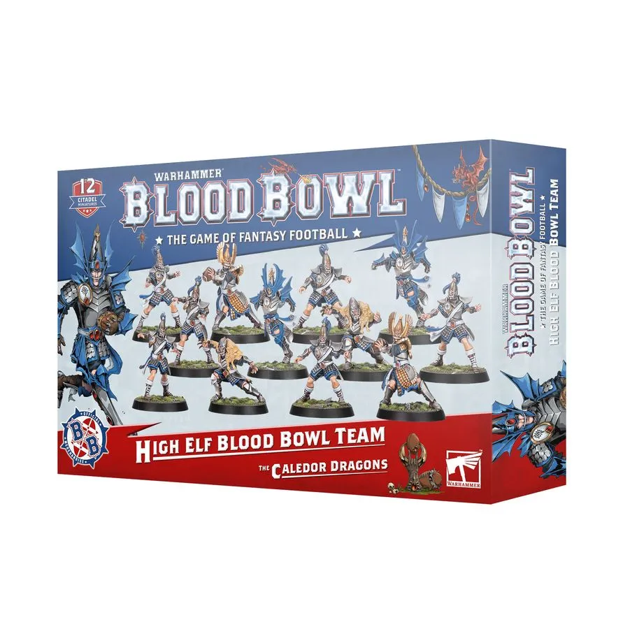 [202-62] High Elf Blood Bowl Team: The Caledor Dragons